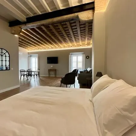 Ti1 Estiloso Loft 120m De La Catedral Tomas De Ibarra Street Apartment