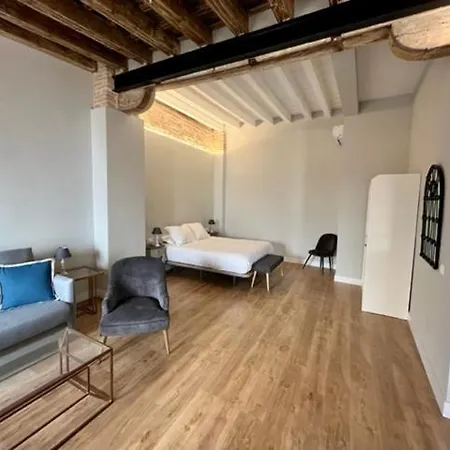 Ti1 Estiloso Loft 120m De La Catedral Tomas De Ibarra Street * Seville