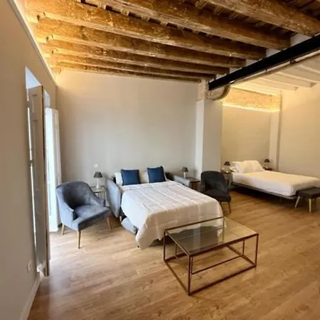Apartment Ti1 Estiloso Loft 120m De La Catedral Tomas De Ibarra Street Seville